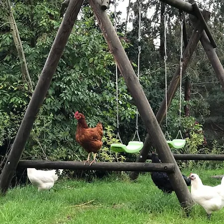 Apartment Eckartsberg Im Zittauer Gebirge - Mit 2 Schlafzimmern, Terrasse Und Wallbox Mittelherwigsdorf