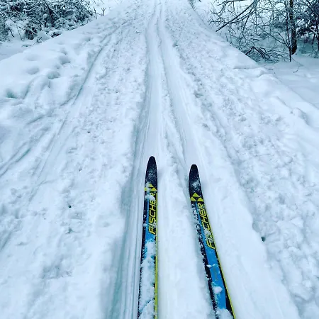 公寓 Eckartsberg Im Zittauer Gebirge - Mit 2 Schlafzimmern, Terrasse Und Wallbox