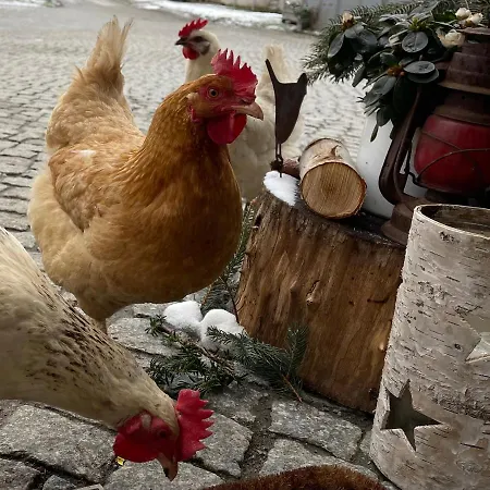 Eckartsberg Im Zittauer Gebirge - Mit 2 Schlafzimmern, Terrasse Und Wallbox *