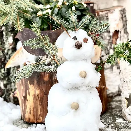 Eckartsberg Im Zittauer Gebirge - Mit 2 Schlafzimmern, Terrasse Und Wallbox Apartment