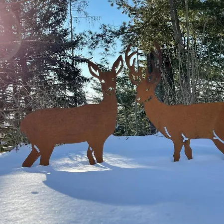 Eckartsberg Im Zittauer Gebirge - Mit 2 Schlafzimmern, Terrasse Und Wallbox Appartement