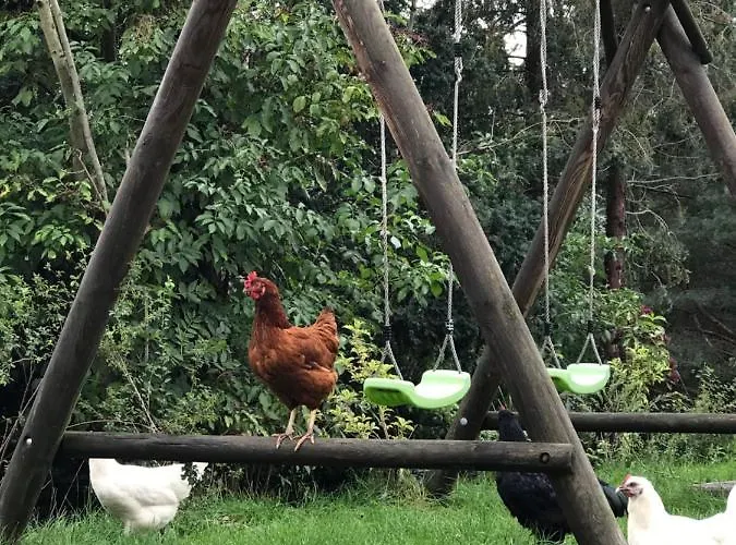 Appartement Eckartsberg Im Zittauer Gebirge - Mit 2 Schlafzimmern, Terrasse Und Wallbox Mittelherwigsdorf