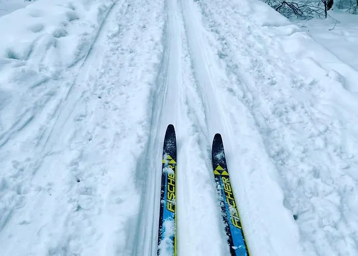 شقة Eckartsberg Im Zittauer Gebirge - Mit 2 Schlafzimmern, Terrasse Und Wallbox