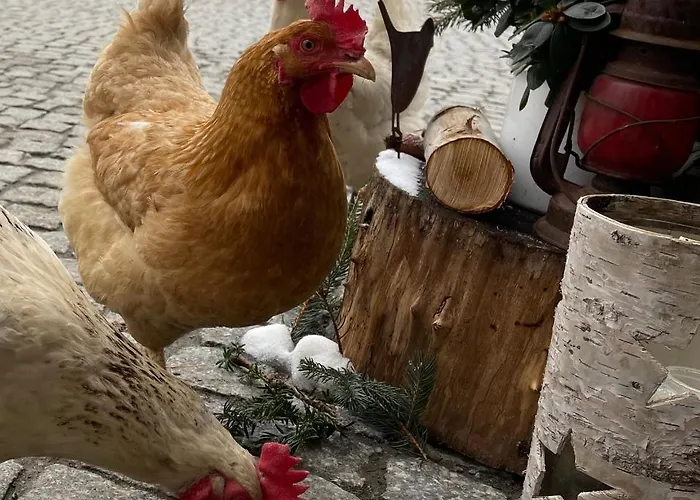 Eckartsberg Im Zittauer Gebirge - Mit 2 Schlafzimmern, Terrasse Und Wallbox *