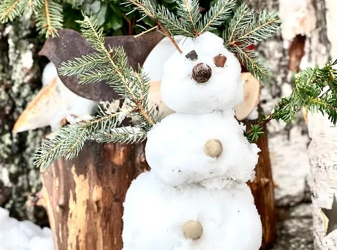 Eckartsberg Im Zittauer Gebirge - Mit 2 Schlafzimmern, Terrasse Und Wallbox Appartement