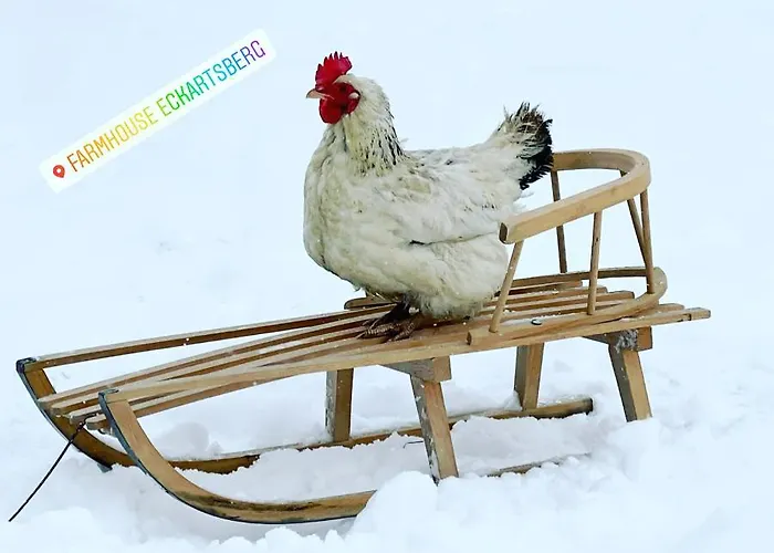 Eckartsberg Im Zittauer Gebirge - Mit 2 Schlafzimmern, Terrasse Und Wallbox شقة